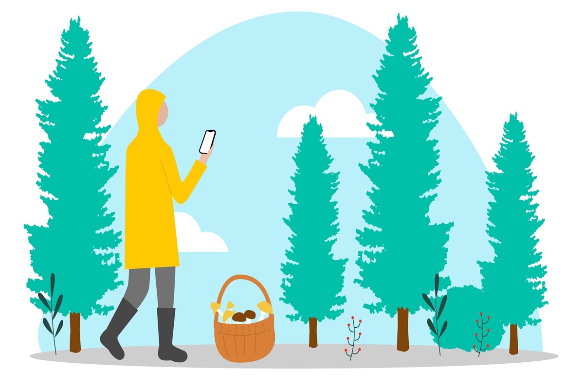 Фото: пресс-служба Билайна  📷
