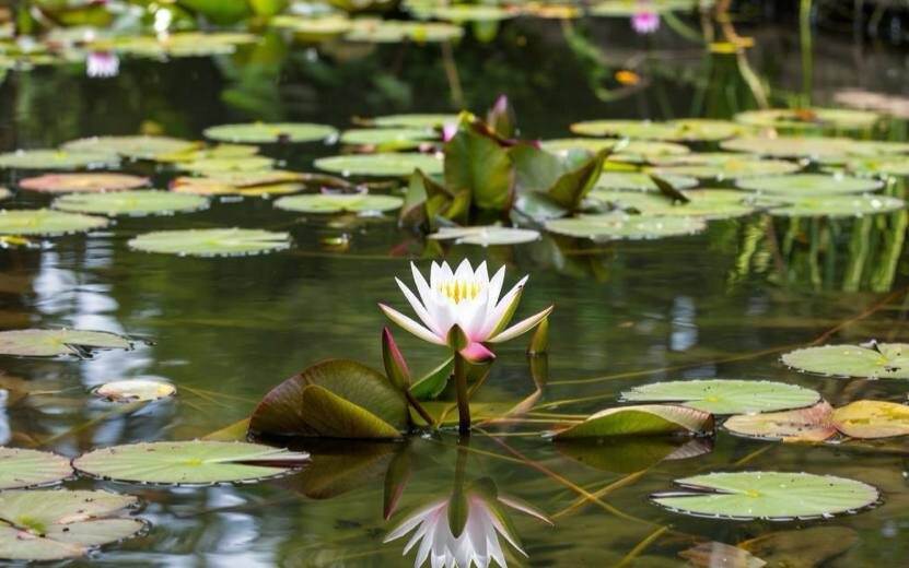    Гороскоп по дате рождения на день – 30 сентября: Овнам стоит доверять своим идеям, а Весам – открываться новым возможностям