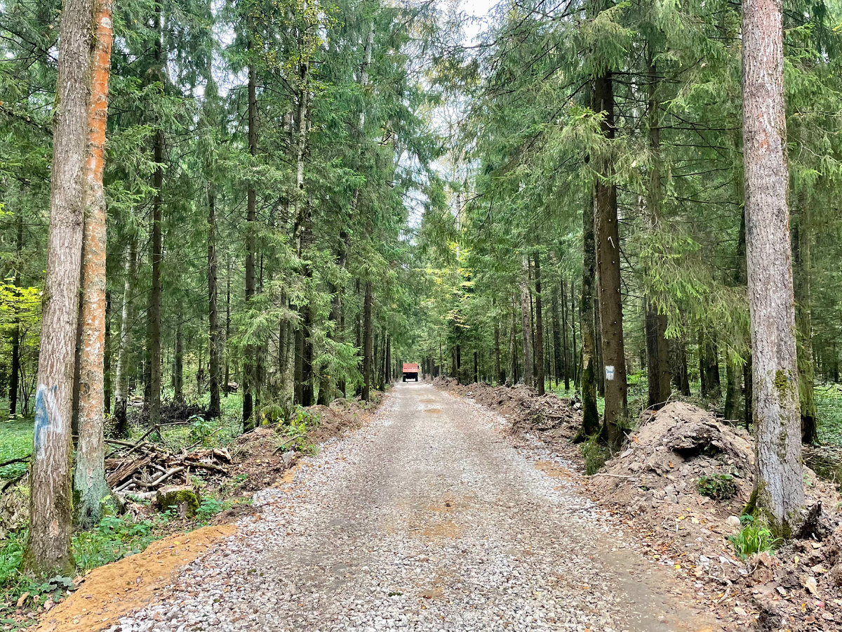 Строительство дороги через Пироговский лесопарк