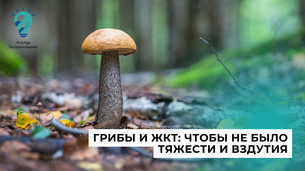 Грибы в лесу