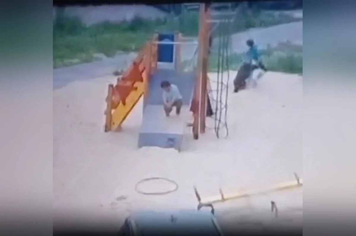    Одно из животных укусило ребенка за поясницу, оставив глубокую рану.