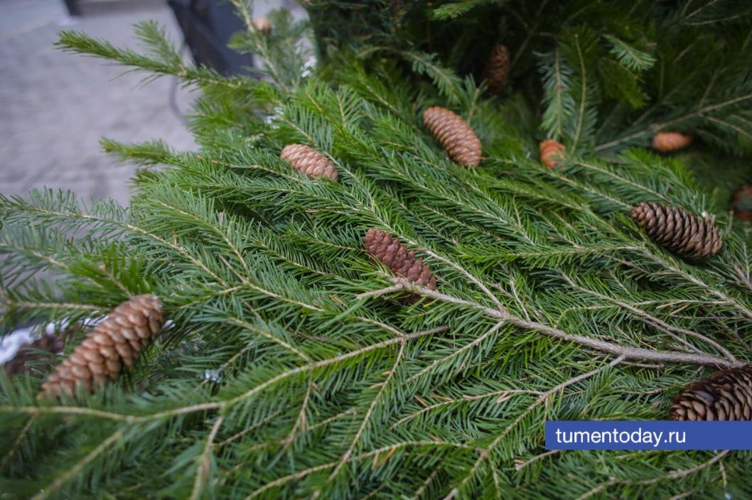  Фото Екатерины Христозовой