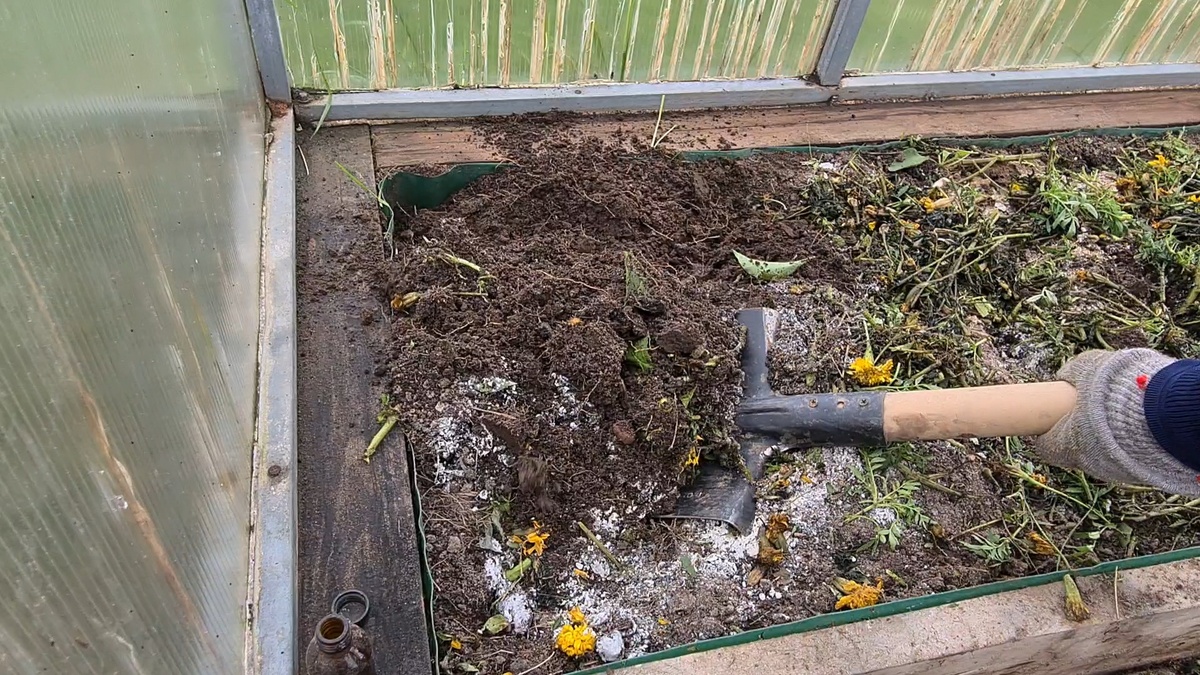 Осенняя перекопка грядок в теплице. Фото из личного архива.