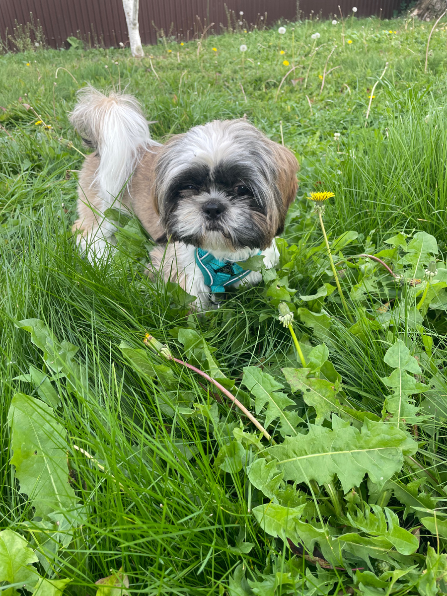 Меня невозможно не любить)