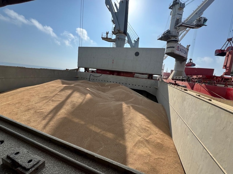    Фото: пресс-служба Южного межрегионального управления Россельхознадзора