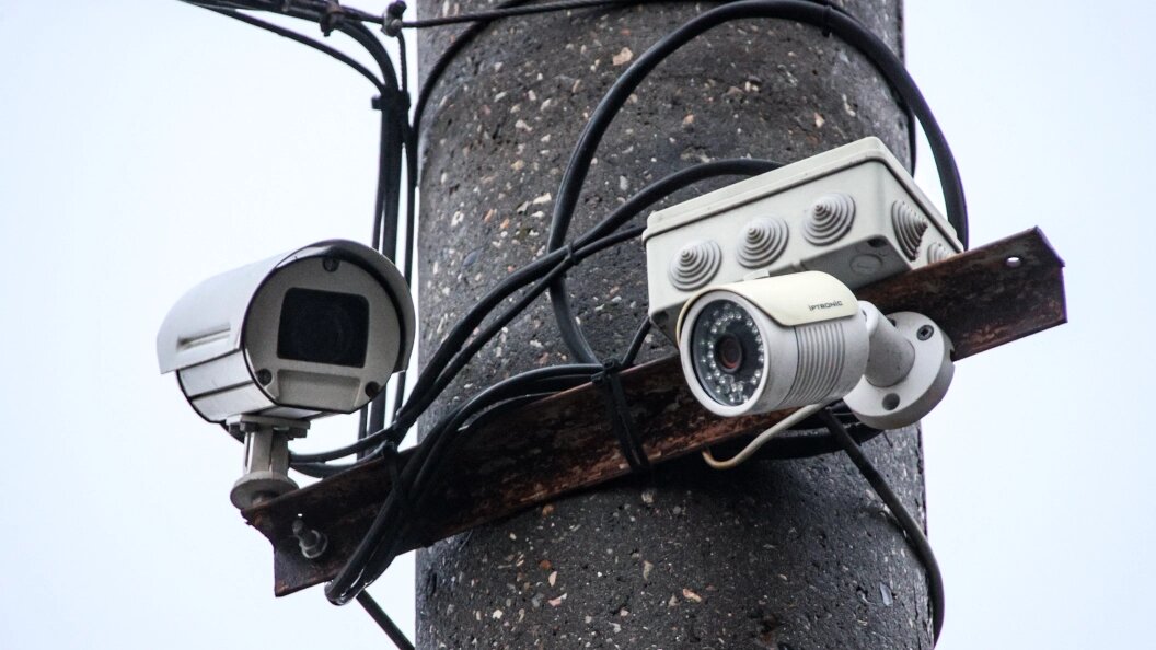    Фото: Lantyukhov Sergey/Globallookpress.