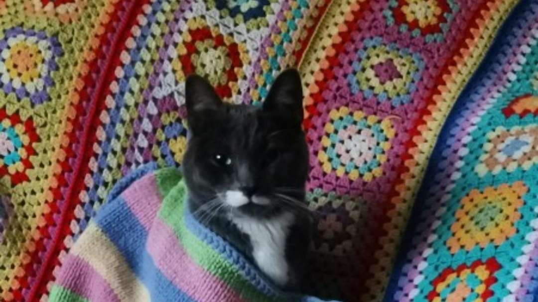 Скрин комментария к статье на канале «Кармашек счастья»