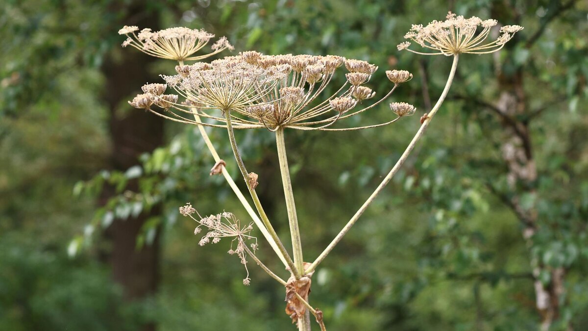    Фото: Petrov Sergey/globallookpress.com