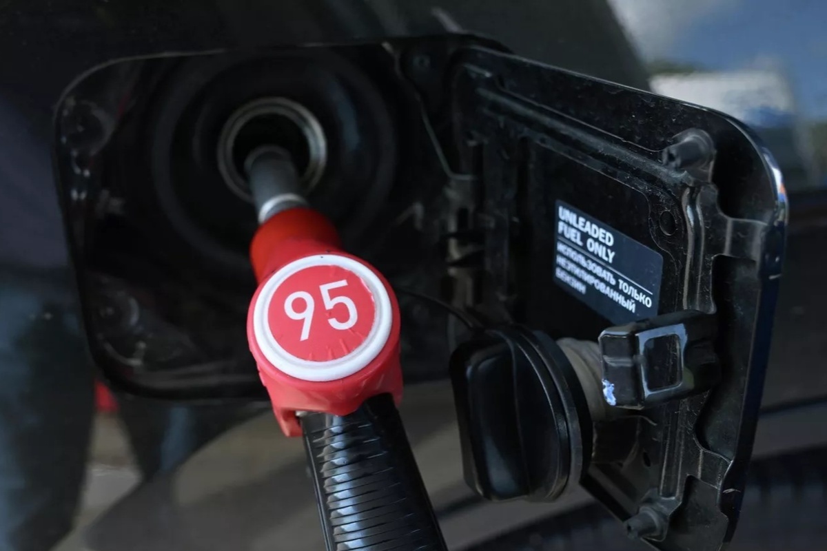    Фото: Кирилл Каллиников, источник: ria.ru