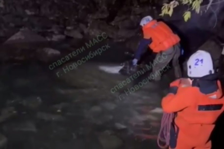    Скриншот из видео МАСС