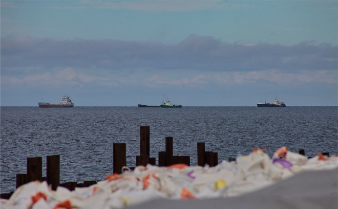    © Анастасия Илюшина / ЛенТВ24. Архивное фото