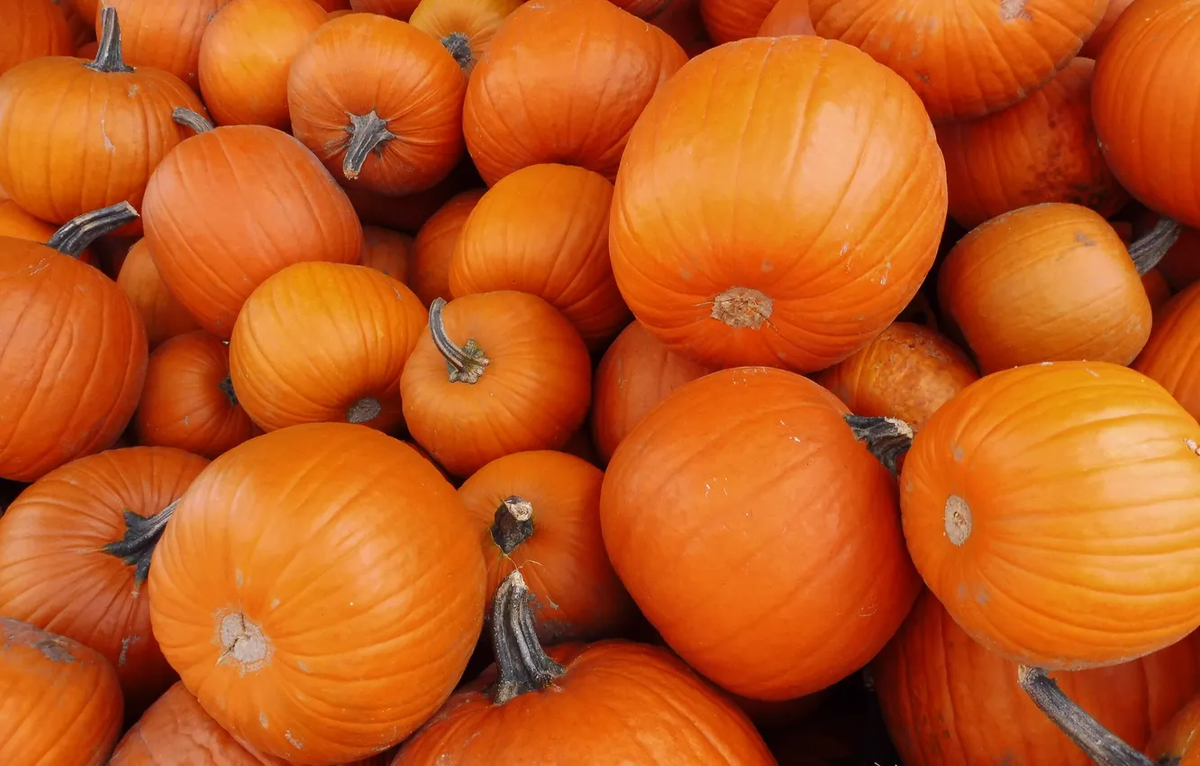 Фото: Meduzanol / GoodFon.ru