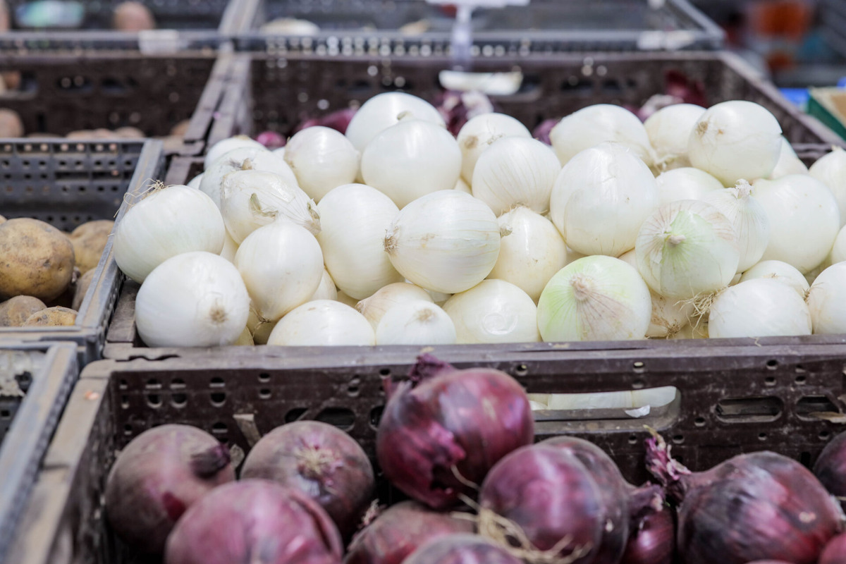    Фото: ТРК «Таврия»