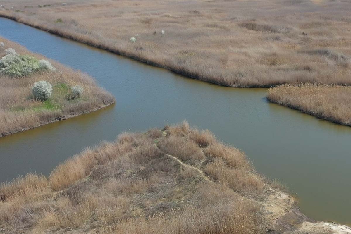 Фото «Кубань 24»