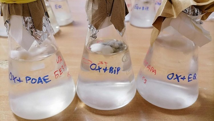    Фото: Источник: Марина Селюк