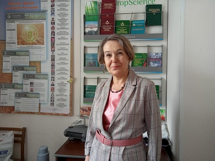 Автор статьи Елена Торопова. Источник: Марина Селюк.📷    Российские исследователи нашли новый способ производства биопрепаратов для защиты яровой пшеницы
