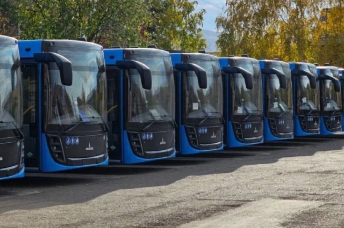    Новые автобусы скоро выйдут на линии.