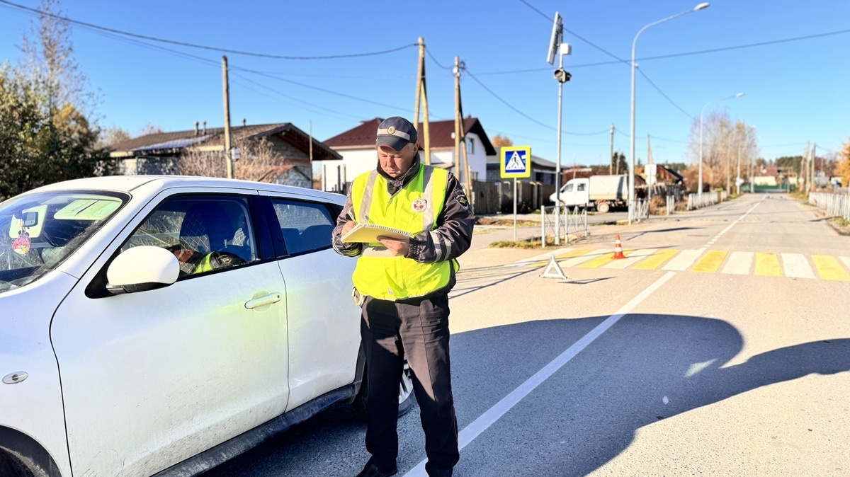Фото: Госавтоинспекция Свердловской области  📷
