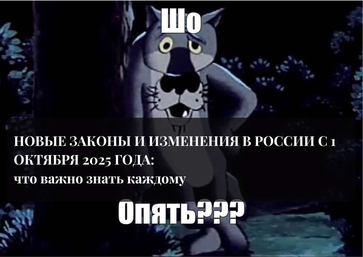 Новые законы и изменения в России с 1 октября 2025 года: что важно знать каждому