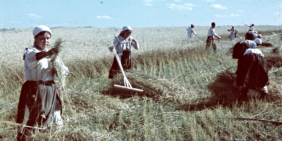 Почему "бабье лето" осенью и называется именно "бабьим"?