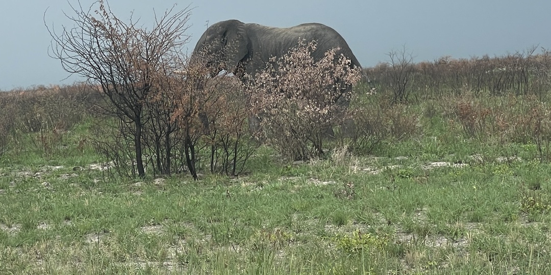 Спонтанный роадтрип в Посрединигде. ЮАР-Ботсвана-Замбия-Зимбабве-Намибия-ЮАР. Часть 2.
