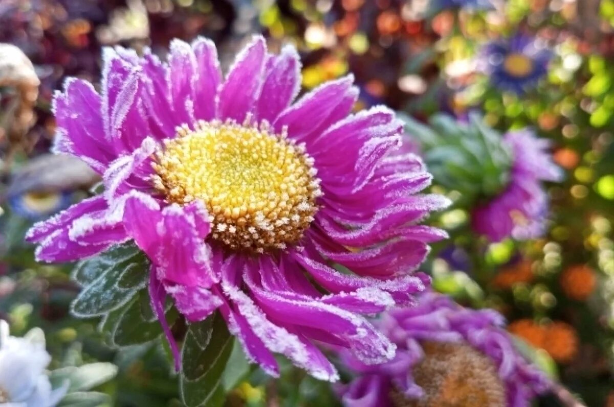    Синоптики рассказали, когда на Средний Урал вернется теплая погода