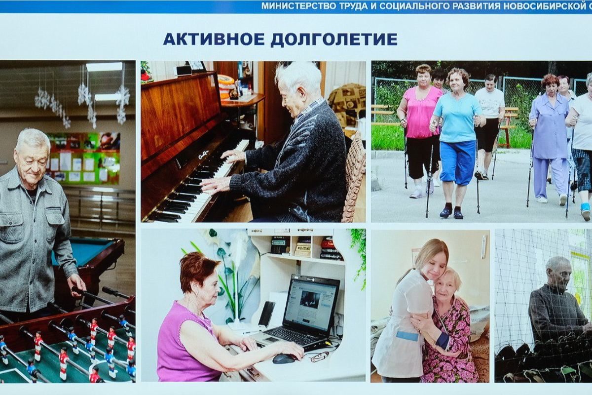    Фото: Правительство Новосибирской области, источник: nso.ru