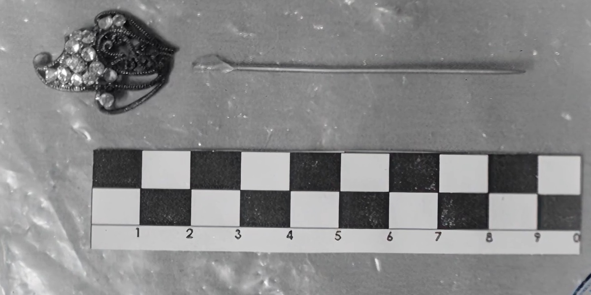 Улики в деле сбежавшей невесты. Фото из интернета