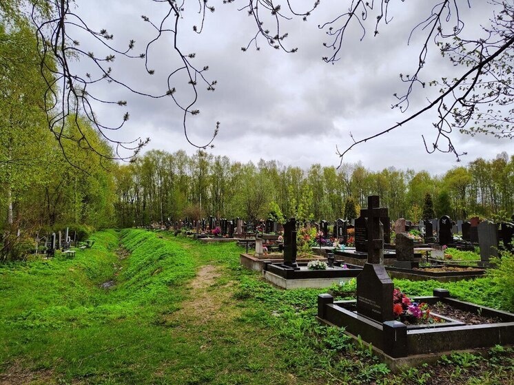     В Петербурге выросли гигантские грибы возле Смоленского кладбища. Фото из архива "МК в Питере"