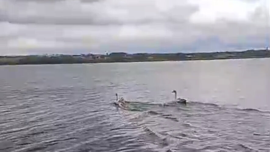    Фото: Госкомитет РТ по биоресурсам