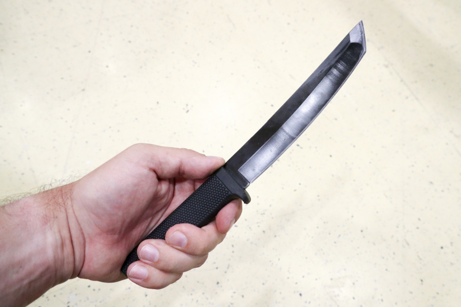    Сергей Петров/NEWS.ru