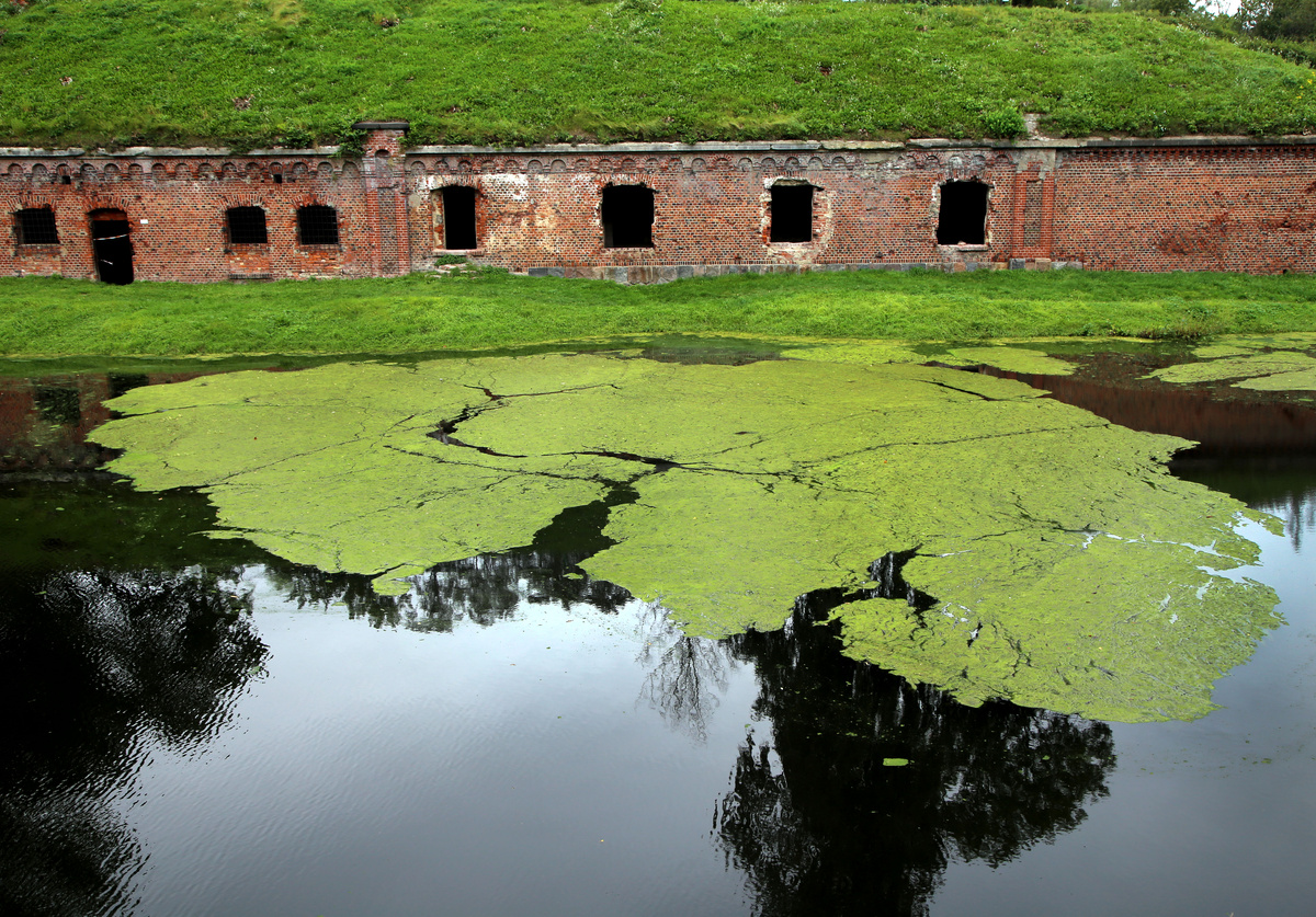 Форт №5 «Король Фридрих-Вильгельм III» — военное фортификационное сооружение , один из 12 фортов, составлявших оборонительный пояс «Ночная перина Кёнигсберга».   