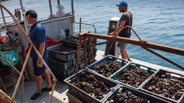    © РИА Новости Крым . Дмитрий Макеев