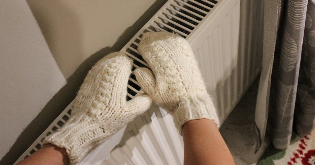    Фото: Дарья Селенская Елена Воронцова