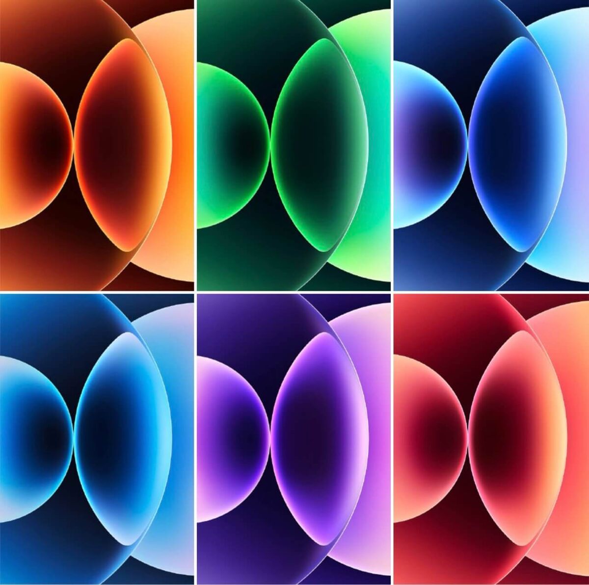    На любой вкус и цвет