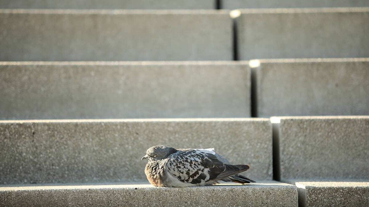    Фото: Артур Новосильцев / АГН Москва