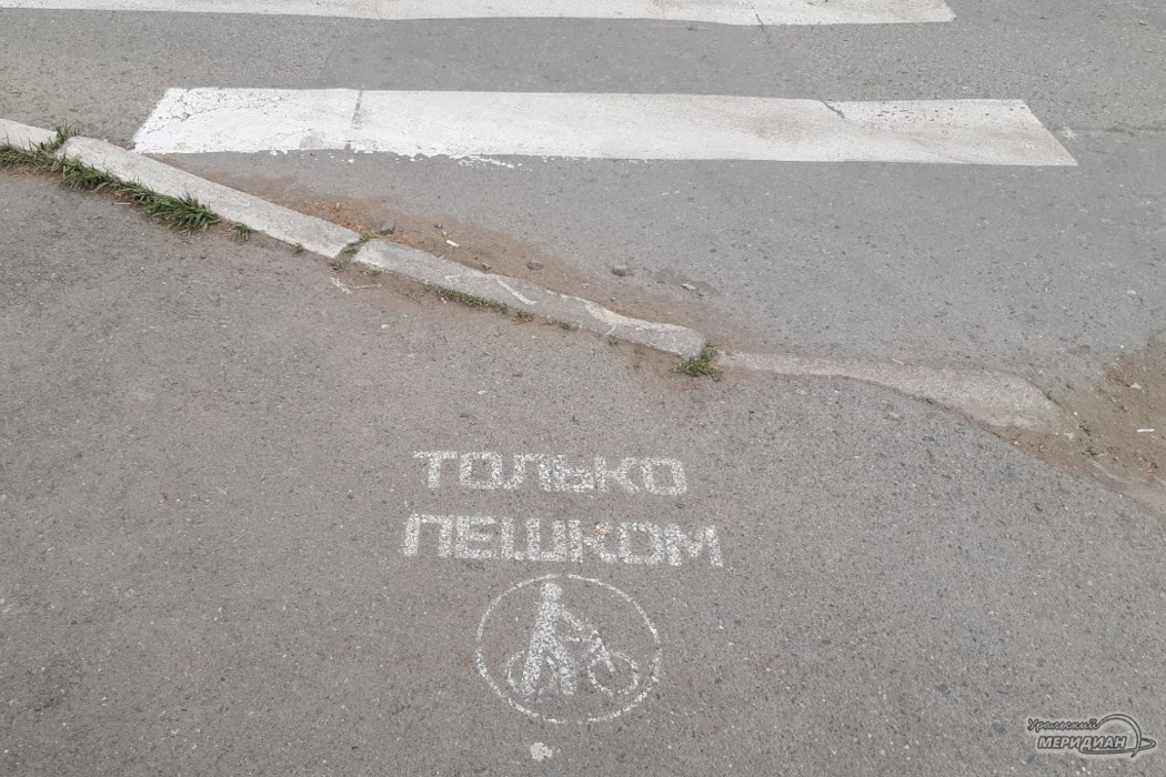    Фото превью: Анна Овсянникова © ИА «Уральский меридиан»