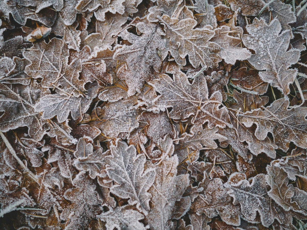 Фото: unsplash