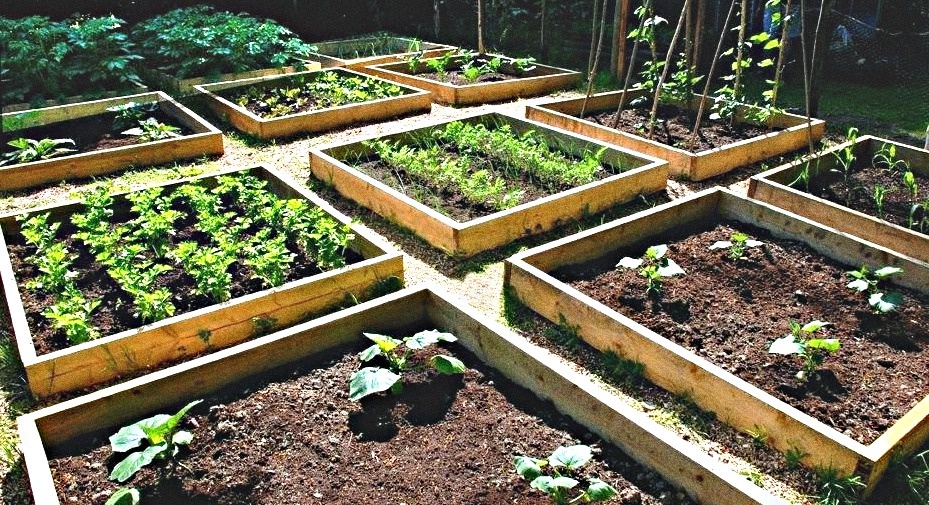 Изображение из свободного доступа сервиса яндекс картинки