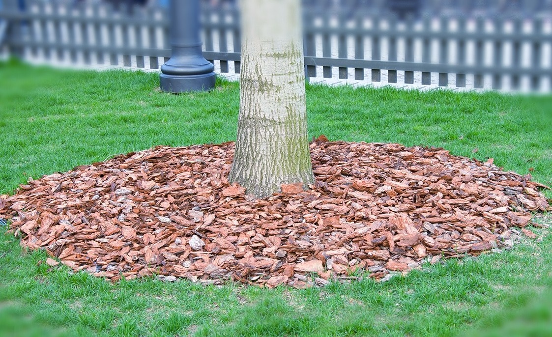 Изображение из свободного доступа сервиса яндекс картинки