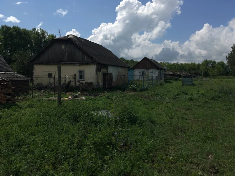 Фото: Андрей Горбунов