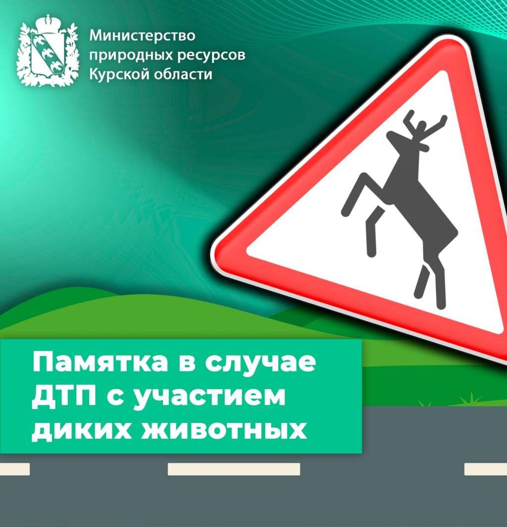    Фото: Министерство природных ресурсов Курской области