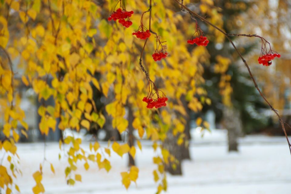   Осень. Октябрь. Погода.. Источник: Виталий Барабаш