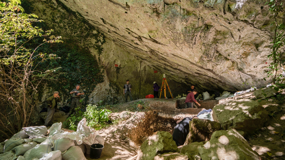    Фото: Пресс-служба Субтропического научного центра РАН