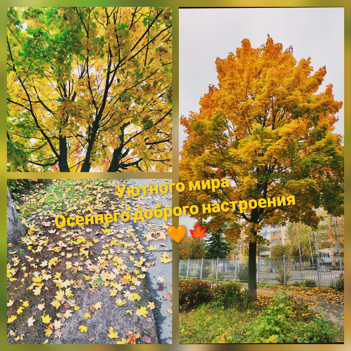 Когда природа рисует картины ❤️