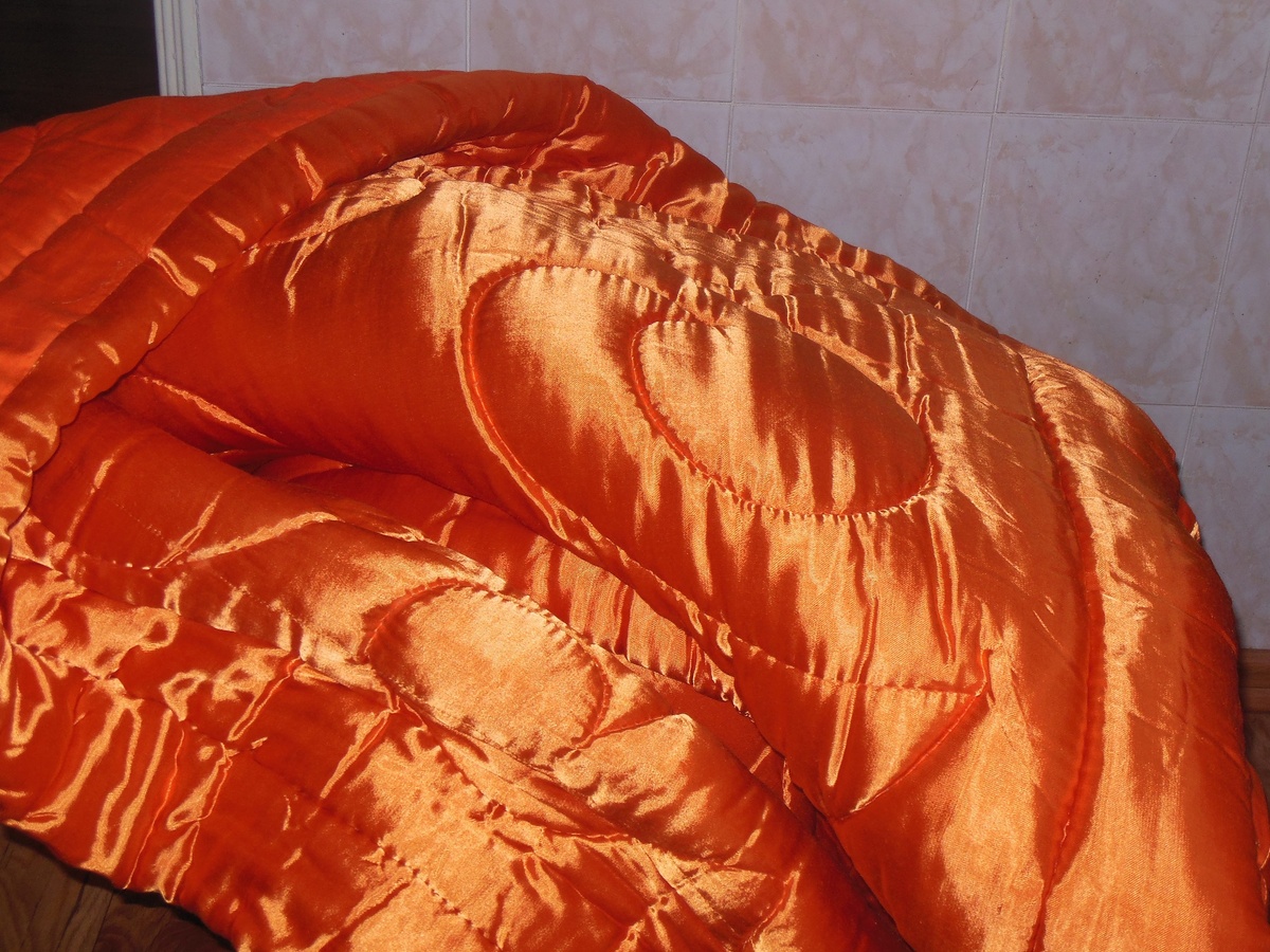 Фото из интернета. Председатель спал под хозяйским одеялом.