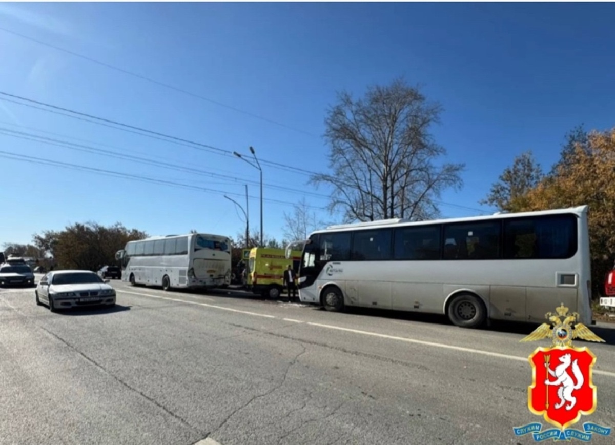 Фото: Госавтоинспекция Свердловской области  📷
