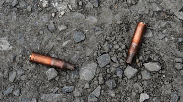    © Sputnik / Наталья Селиверстова