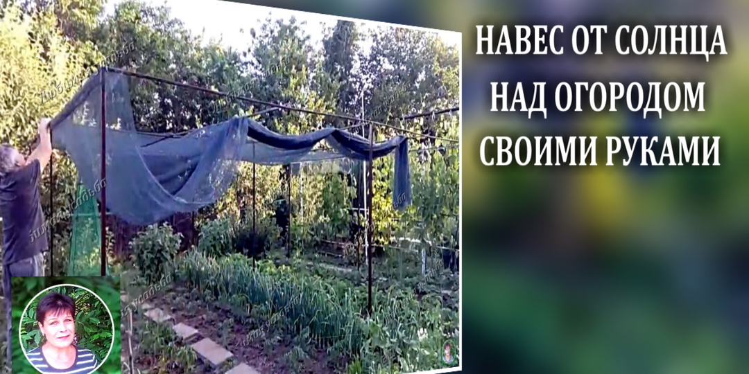 Навес от жары на огороде своими руками.