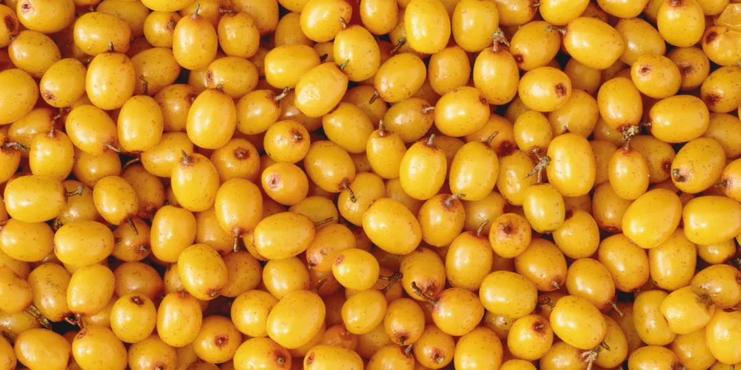 Что приготовить из облепихи? 5 простых осенних рецептов из витаминной ягоды